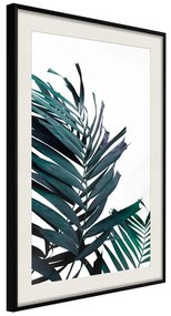 Poster Evergreen Palm Leaves  Cornice Quadri Cornice nera con pass-partout, Larghezza x Altezza Home decor 20x30