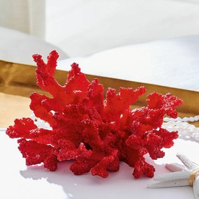 Coralli decorativi Reddish