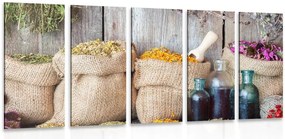 Quadri 5 pezzi – Erbe medicinali