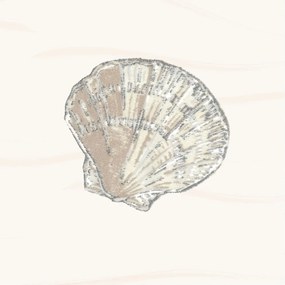 Tenda per doccia 180x180 cm Atlantis – Spirella