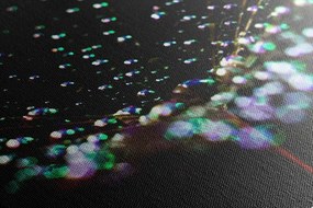 Quadro su tela – Gocce d'acqua su dente di leone