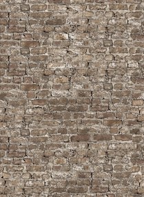 Rebel Walls Wandbild Leiria - Sand