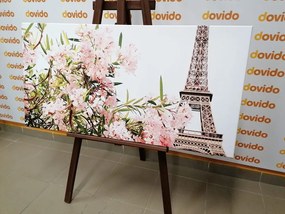 Stampa su tela – Torre Eiffel e fiori rosa