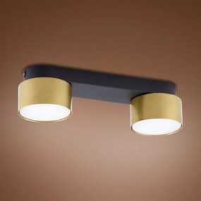 Faretto SPACE GOLD 2xGX53/15W/230V