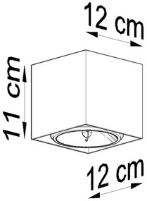 Luce Spot BLAKE 1xGU10/40W/230V