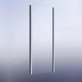 Pannello laterale per box doccia Namara L 70 x H 195cm, Sp. 8 mm profilo in alluminio argento anodizzato