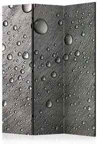 Paravento Steel surface with water drops [Room Dividers]