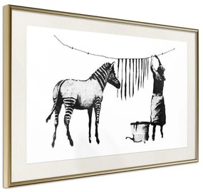 Poster  Banksy: Washing Zebra Stripes  Cornice Quadri Cornice d'oro con passe-partout, Larghezza x Altezza Home decor 30x20