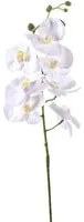 Set 6 Phalaenopsis Artificiali con 7 Fiori Altezza 96 cm Bianco