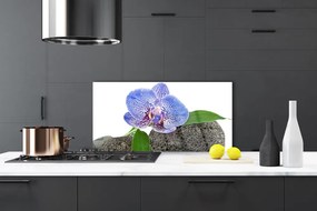 Rivestimento parete cucina Fiore, pianta, natura 100x50 cm