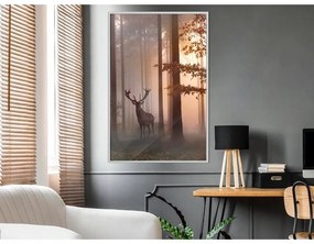 Poster Forest Seclusion