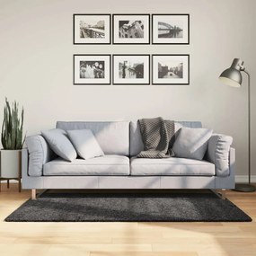 Tappeto Shaggy Pamplona Pelo Lungo Moderno Antracite 120x170cm /