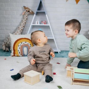 Scatola Montessori con pallina