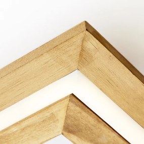 Brilliant-Plafoniera LED dimmerabile RHEA LED/24W/230V