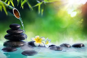 Carta da parati – Armonia nel giardino Zen