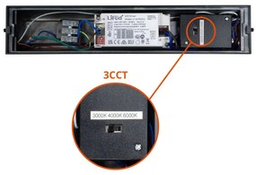 Applique Bidirezionale Nera 12W CCT, IP65 da esterno - Serie FILO Colore Bianco Variabile CCT