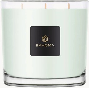 Candela XXL in scatola (primula & legno di ambra)