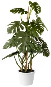 "L'Oca Nera" Monstera Deliciosa pianta artificiale h 70