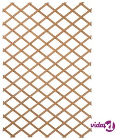 Nature Traliccio da Giardino 50x150 cm in Legno Naturale