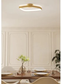 Eglo 900916 - Plafoniera LED dimmerabile VALLEROSA LED/25,2W/230V