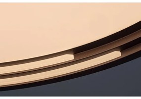 Rabalux - Plafoniera LED dimmerabile/36W/230V