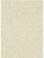Zoffany Carta da parati Mosaic - Stone