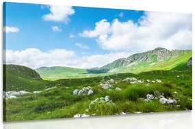 Stampa su tela – Valle in Montenegro