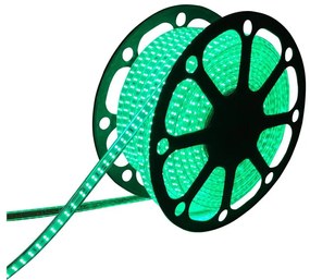 Aigostar - Striscia LED per esterni 50m LED/350W/230V verde IP65