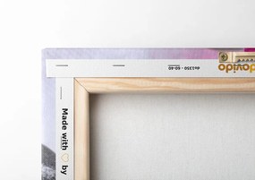 Quadro su tela – Orchidea fiorita e pietre per il benessere