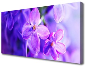 Quadro su tela Fiori viola della natura 100x50 cm