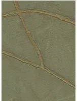 Élitis Carta da parati Kintsugi - VP 1004 62