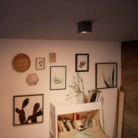 Philips 50491/30/P0 - Luce LED dimmerabile MYLIVING BOX 1xLED/4,5W/230V