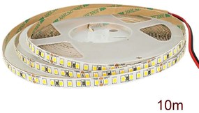 24V Bobina Led Da 10 Metri IP20 2700K 12W/M 1600 smd 2835 2000 LM/M Passo 8mm