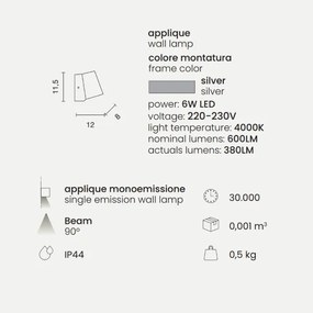 Applique OWEN per esterni LED in alluminio Silver e diffusore in vetro 8x12 cm