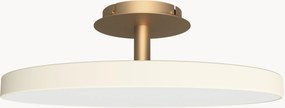Lampada a LED grande con luce regolabile Asteria, varie misure