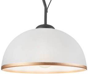 Lampadario a sospensione con supporto rigido RETRO 1xE27/60W/230V antracite