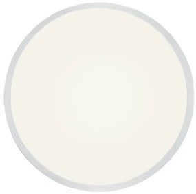 Globo 12364-30 - Lampada da bagno LED dimmerabile LED/28W/230V IP44