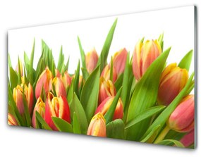 Quadro vetro Tulipani Fiori Pianta 100x50 cm