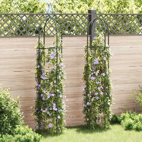Set Torri Ad Arco 2 Pz Per Piante Rampicanti Da Giardino /