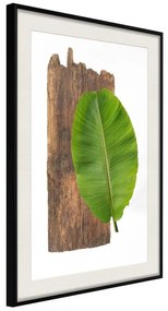 Poster  Forest Nature  Cornice Quadri Cornice nera con pass-partout, Larghezza x Altezza Home decor 20x30