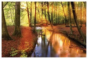 Stampa su tela Fiume nel bosco, multicolore 95 x 145 cm