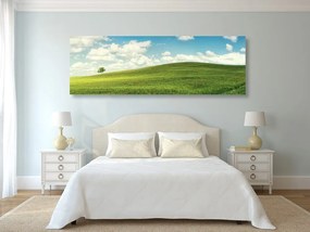Quadro su tela – Splendido giorno sul prato
