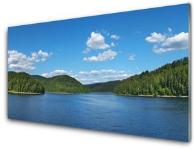 Pannello paraschizzi cucina Paesaggio della foresta del lago 100x50 cm