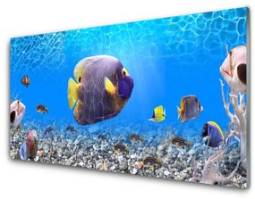 Quadro acrilico Pesce della natura 100x50 cm