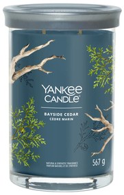 Candela Bayside Cedar in barattolo grande Yankee Candle