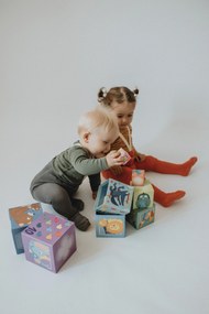 Cubi da sovrapporre - piramide - madri e cuccioli