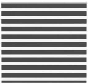 Tenda A Rullo Zebra Nero Larghezza Tessuto 160,9 Cm Poliestere /
