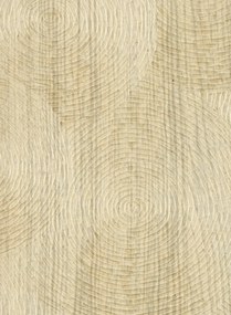 Elitis Tapete Volute - VP 937 20