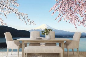 Carta da parati – Vista dal lago sul Fuji