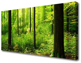 Quadro su tela Foresta Alberi Verdi Natura 100x50 cm